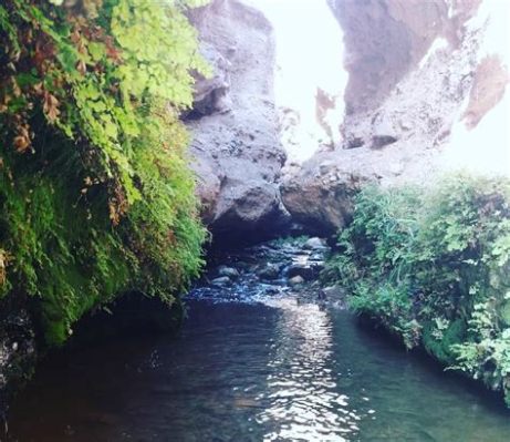  Journey Through Ancient Fields: A Glimpse into Iran's Agricultural Heritage